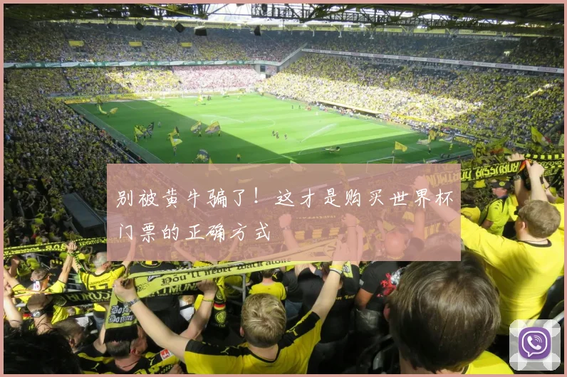 别被黄牛骗了!这才是购买世界杯门票的正确方式