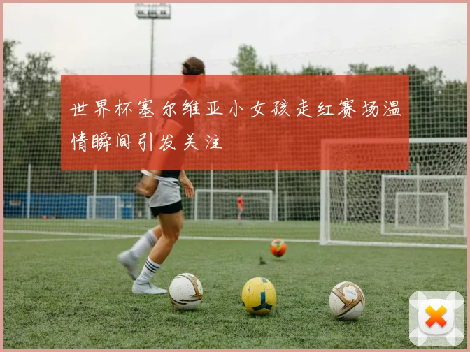 世界杯塞尔维亚小女孩走红赛场温情瞬间引发关注