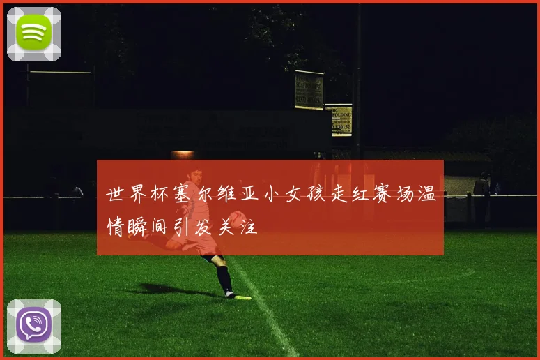 世界杯塞尔维亚小女孩走红赛场温情瞬间引发关注
